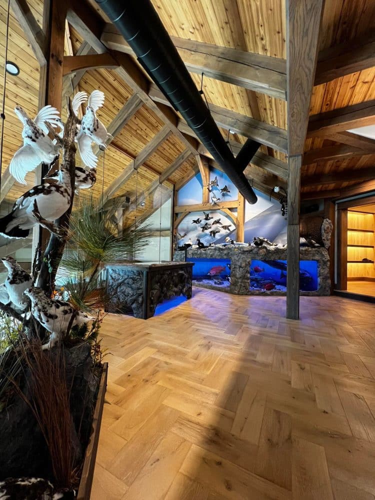 Epic Journey Design custom wildlife habitat installation featuring waterfowl taxidermy and integrated aquarium displays